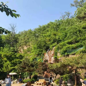 고양이정원 리뷰 사진