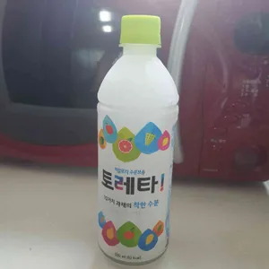 고양이정원 사진