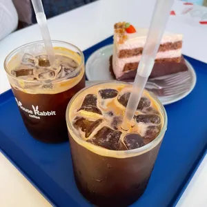 마우스래빗 사진