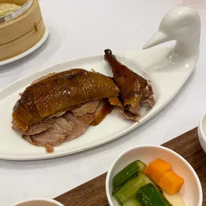 따뚱 사진