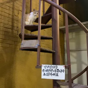 카페 걈 리뷰 사진