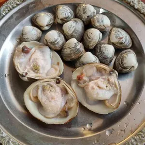 조개하우스 사진