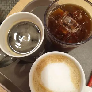할리스 사진