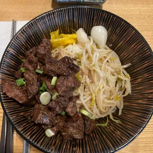 홍대개미 사진