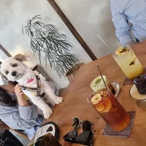유주 리뷰 사진