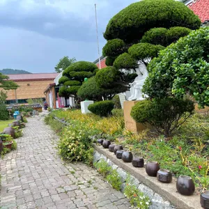 옹고집쌈밥 리뷰 사진