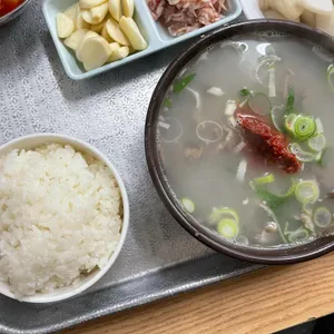미성꿀꿀이 사진