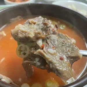 미성꿀꿀이 사진
