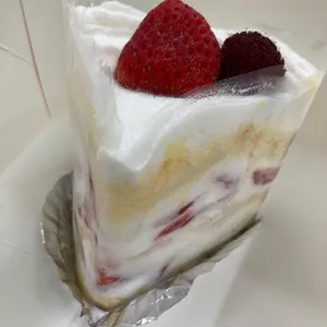 꽃피는봄날 사진
