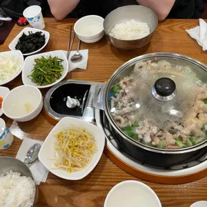 개미집 사진