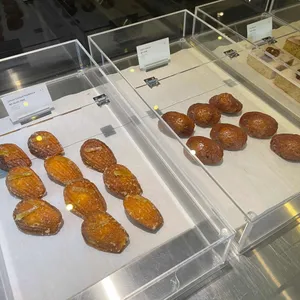 지로스터 사진