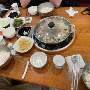 개미집 사진