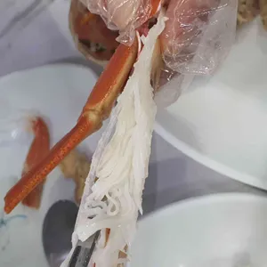 생생대게회직판장 리뷰 사진