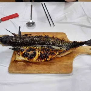 충청도회초장 욕지고등어회 리뷰 사진