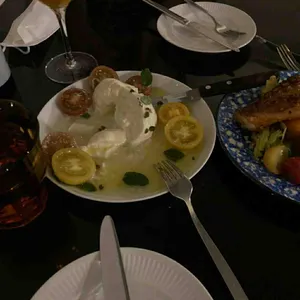 파브 사진