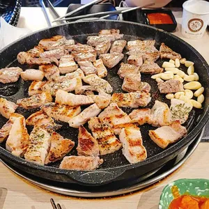 돼지대학교 사진