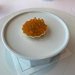 이타닉 가든 리뷰 사진