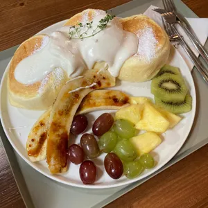 토브나인 사진