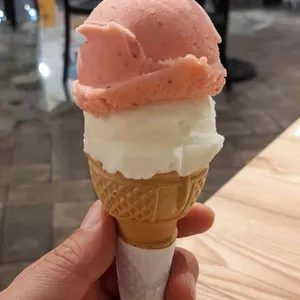 페르케노 대표 사진