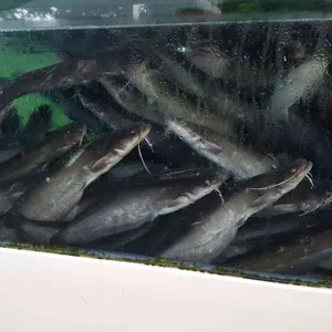 해남댁나루터 리뷰 사진