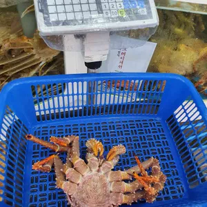 대영유통 리뷰 사진
