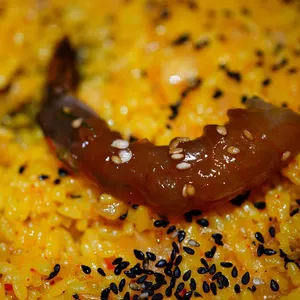 야마짱  사진