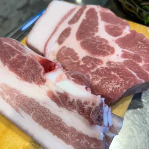 섬돼지 사진
