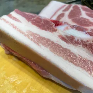 섬돼지 사진