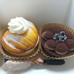 듀숑 사진