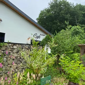 야생화일기 리뷰 사진