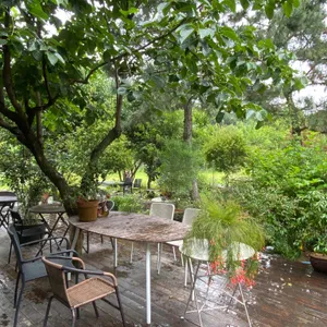 야생화일기 리뷰 사진