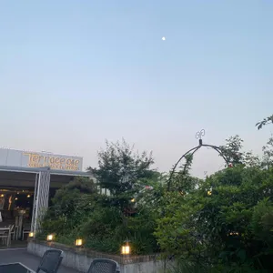 테라스원 리뷰 사진