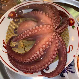 동백상회 사진