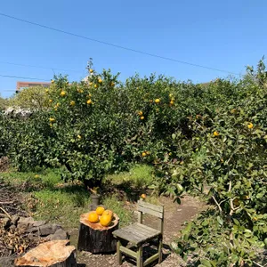 골목카페옥수 리뷰 사진