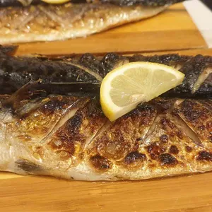 고동치 사진
