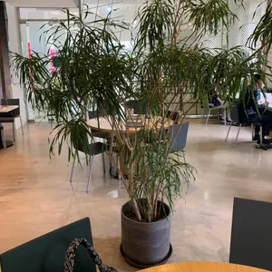 카페 이마 리뷰 사진