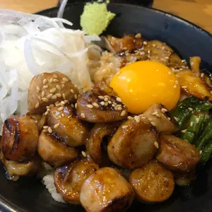 홍대개미 사진