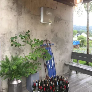 꼬로베이 리뷰 사진