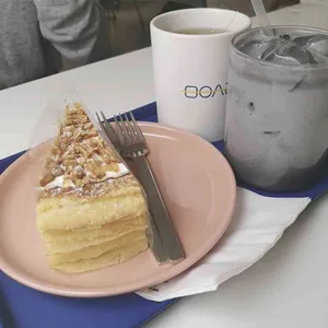 마우스래빗 사진