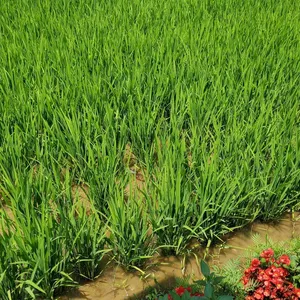 구성커피 로스터스 리뷰 사진