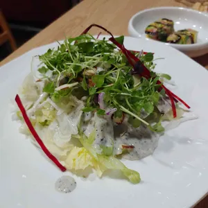 와우담 사진