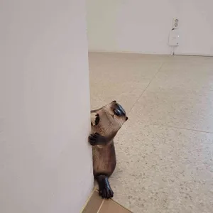 더 웨이 리뷰 사진