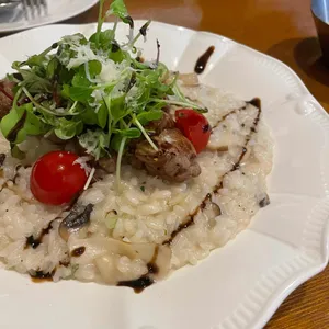 톨리브 사진