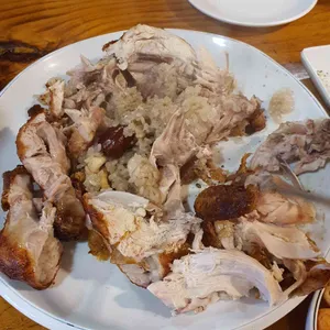 참나무 닭나라 사진