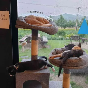 카페마카 리뷰 사진