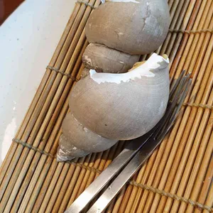 삼포가는길 사진