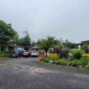 메주꽃 리뷰 사진