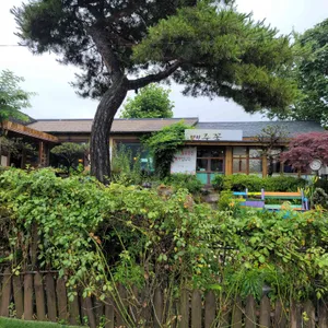 메주꽃 리뷰 사진