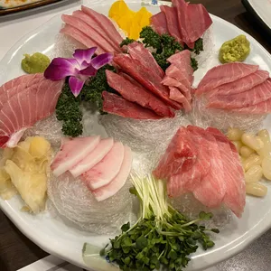 푸른참치 사진