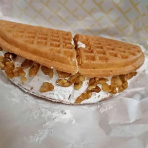 와플대학 대표 사진